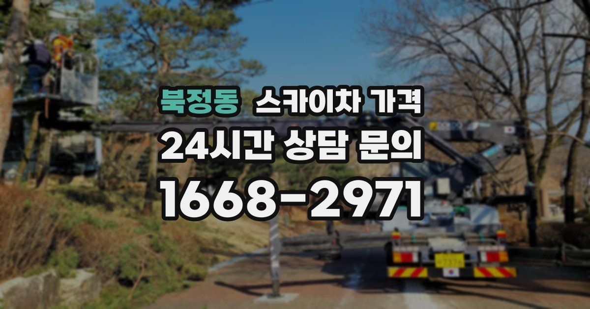 북정동 스카이차 가격