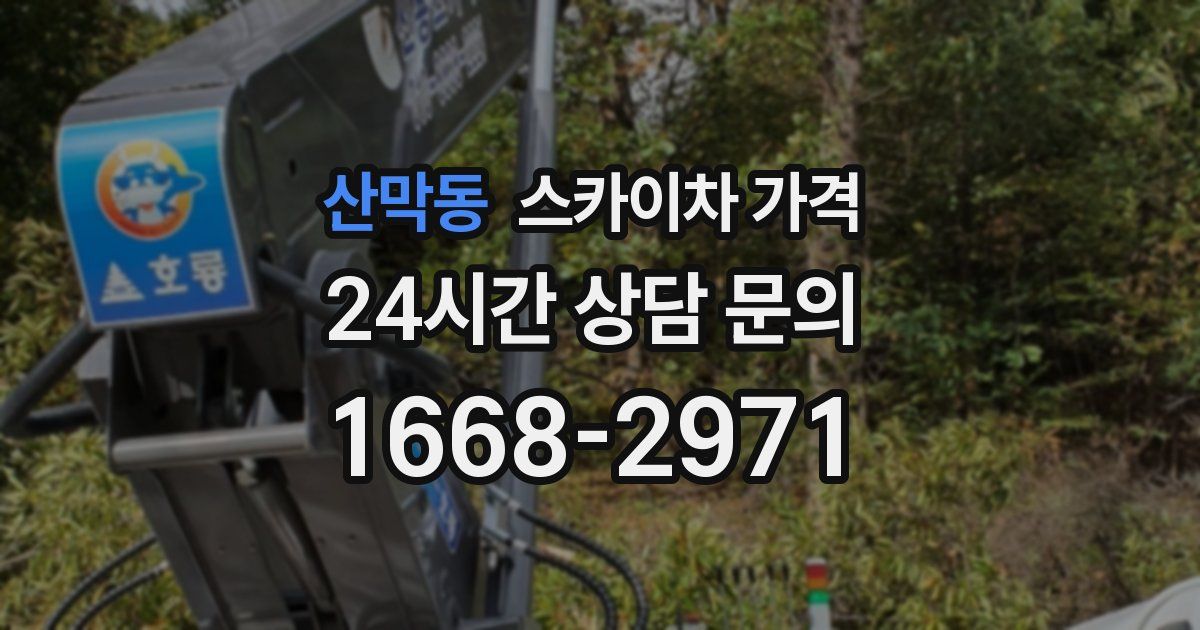 산막동 스카이차 가격