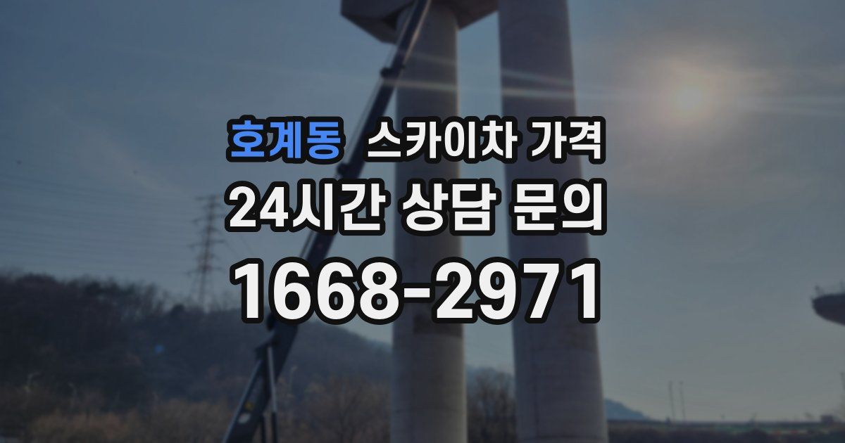 호계동 스카이차 가격
