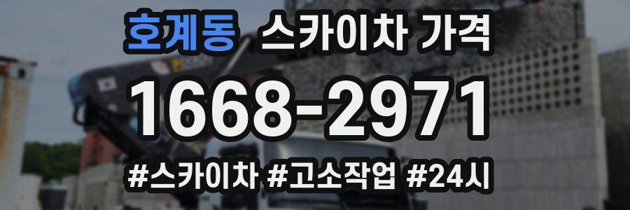 호계동 스카이차 가격