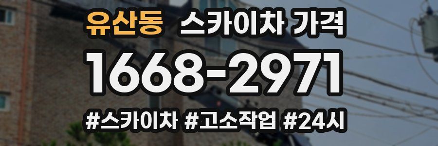 유산동 스카이차 가격