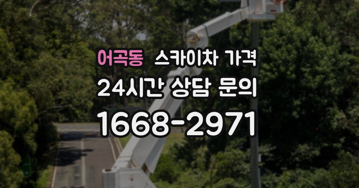 어곡동 스카이차 가격