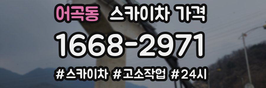 어곡동 스카이차 가격