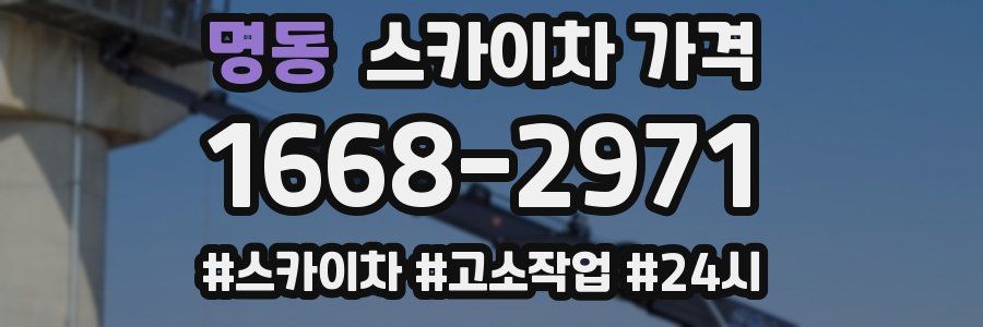 명동 스카이차 가격