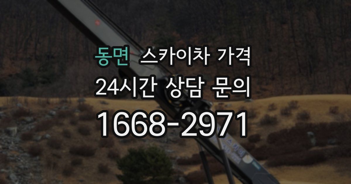 동면 스카이차 가격