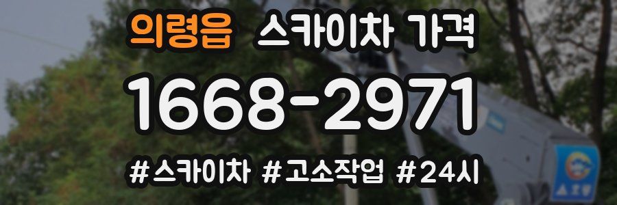 의령읍 스카이차 가격