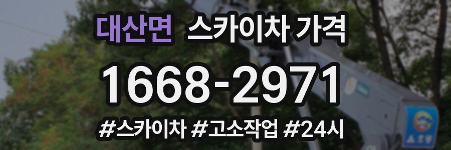 대산면 스카이차 가격