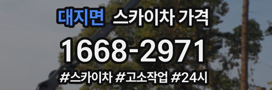 대지면 스카이차 가격