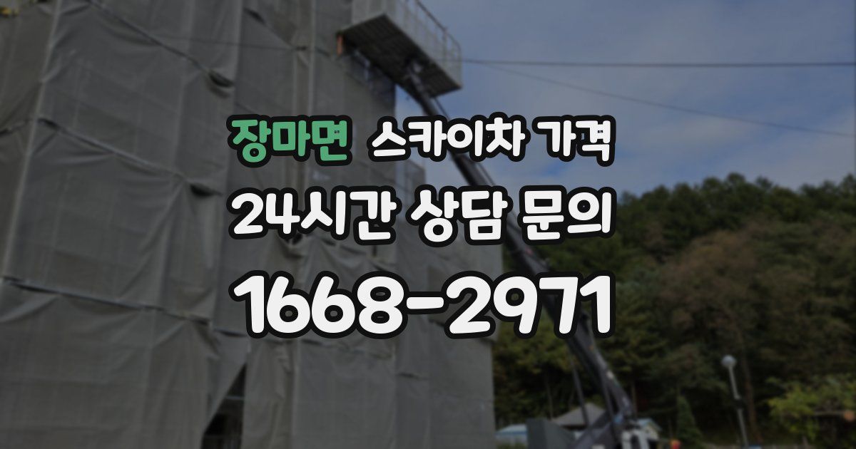 장마면 스카이차 가격