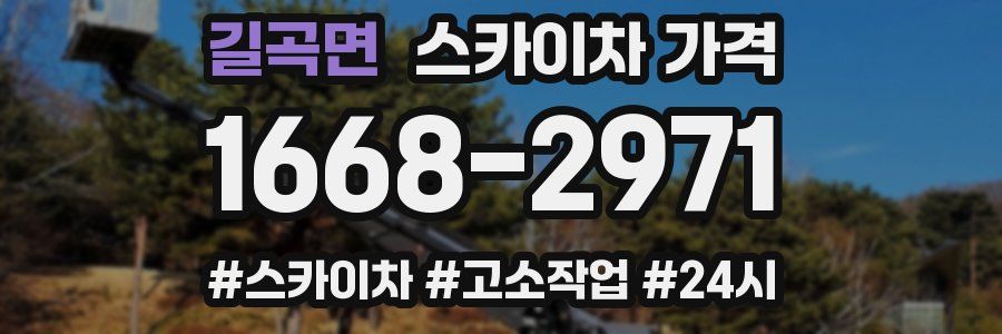 길곡면 스카이차 가격