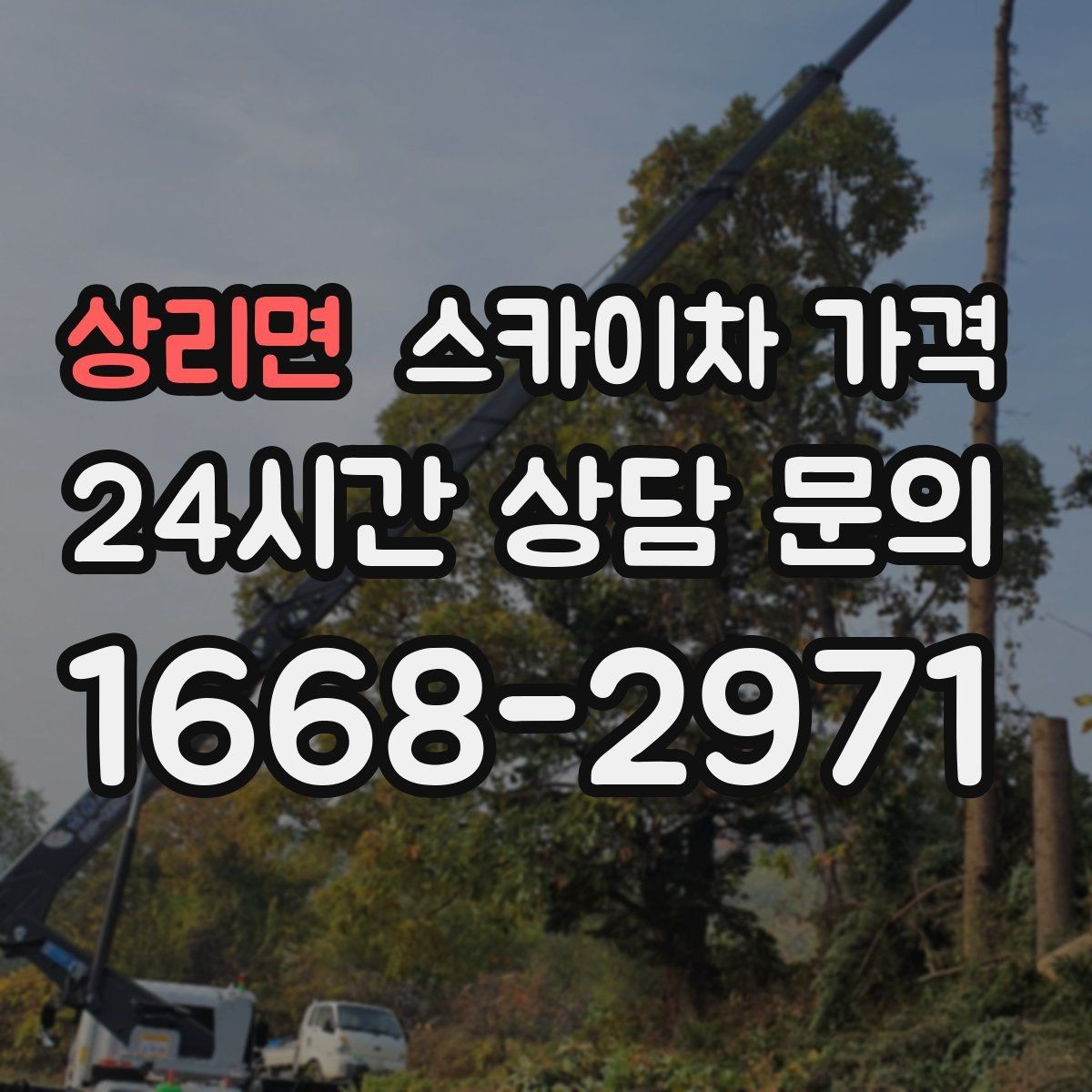 상리면 스카이차 가격 작업 내용이 '점검'인지 '설치'인지가 중요한 이유