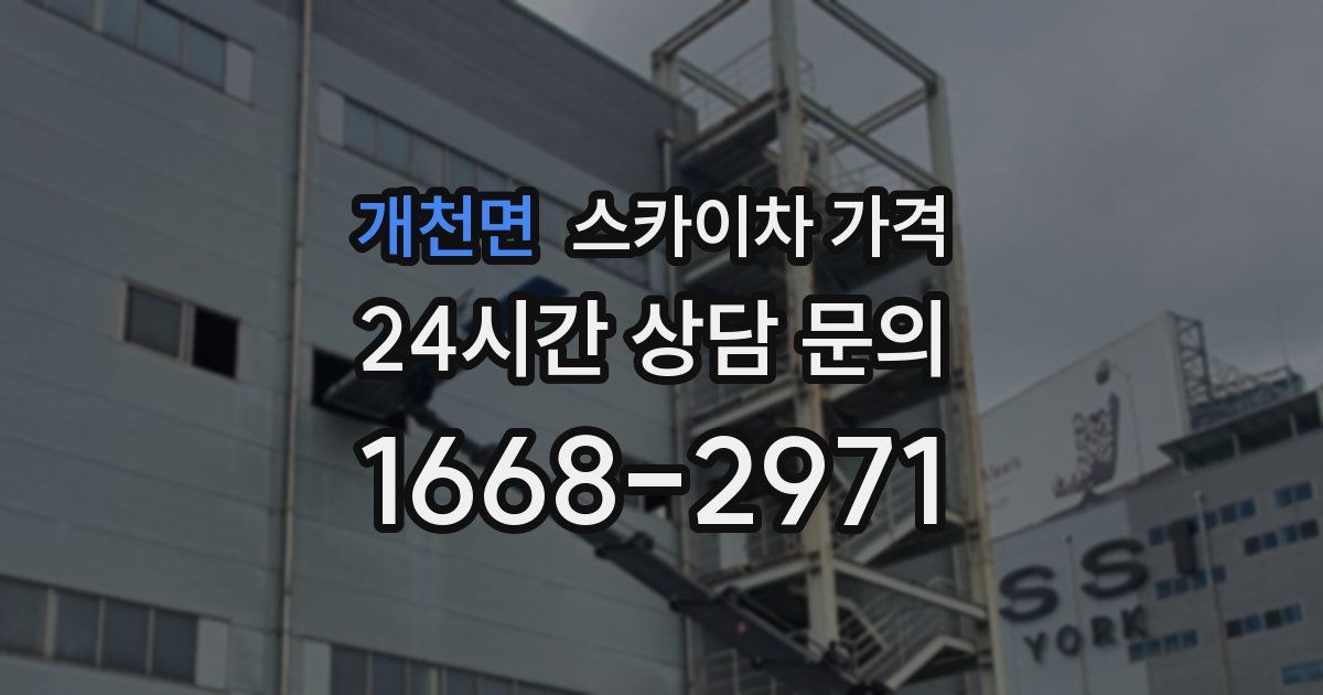 개천면 스카이차 가격