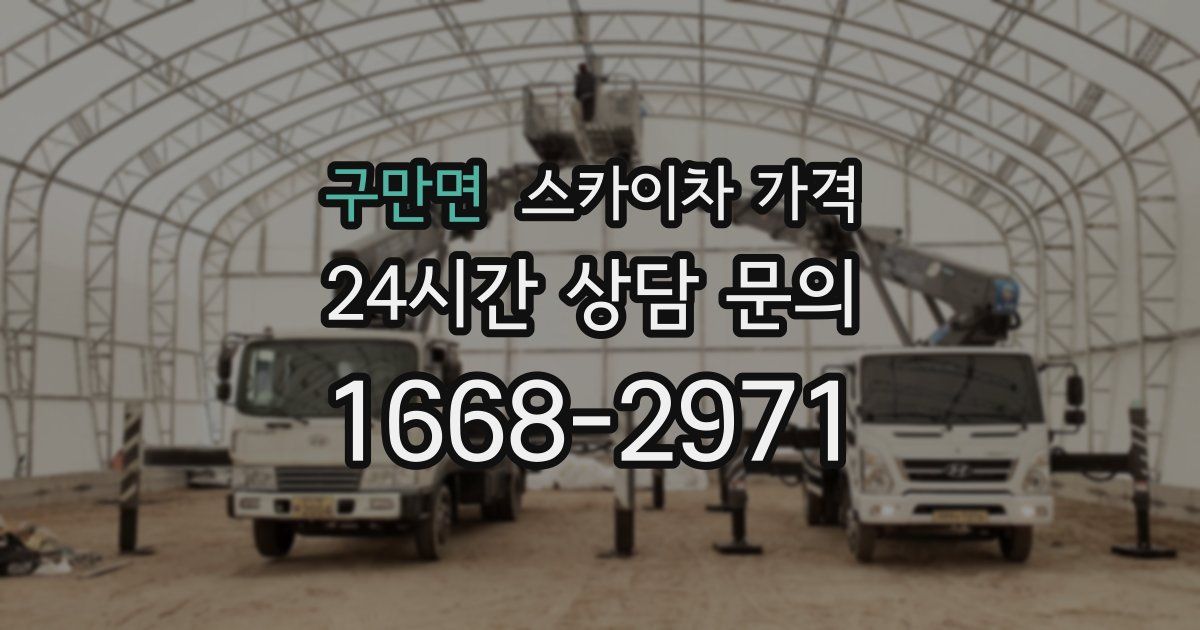 구만면 스카이차 가격