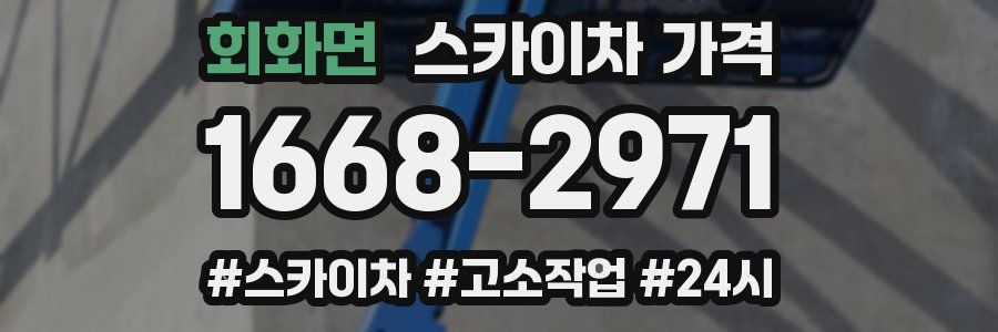 회화면 스카이차 가격