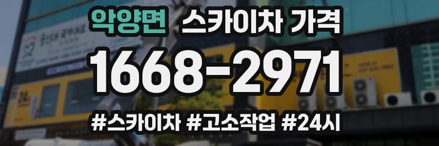 악양면 스카이차 가격