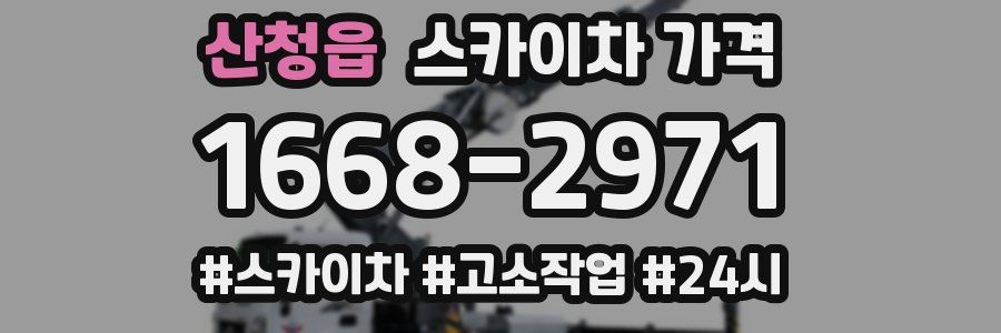 산청읍 스카이차 가격