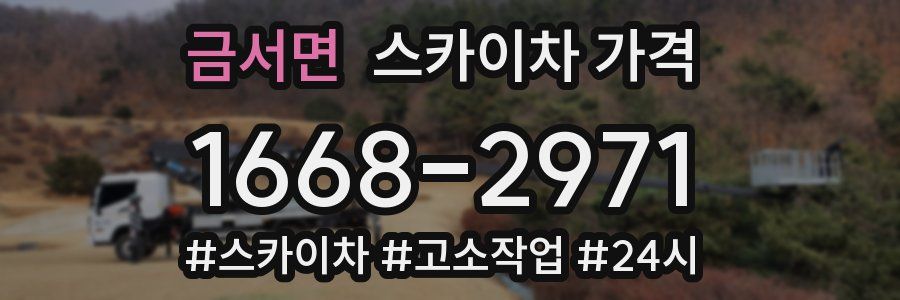 금서면 스카이차 가격