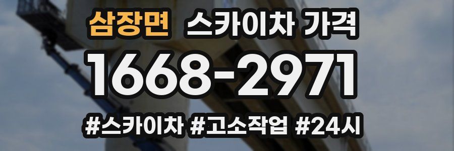 삼장면 스카이차 가격