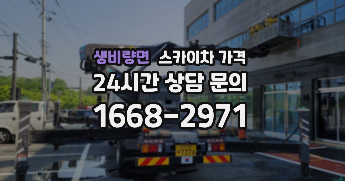 생비량면 스카이차 가격