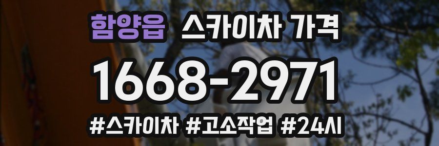 함양읍 스카이차 가격