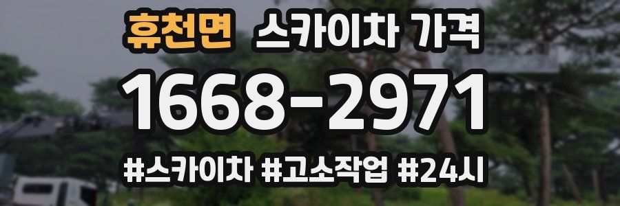 휴천면 스카이차 가격