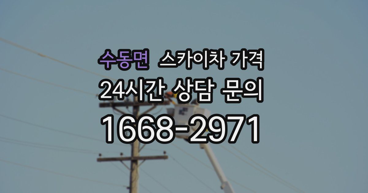 수동면 스카이차 가격