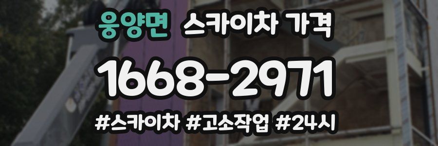 웅양면 스카이차 가격