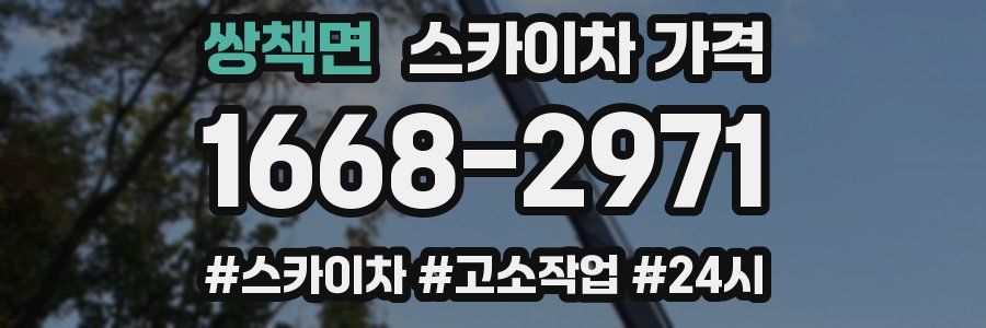 쌍책면 스카이차 가격