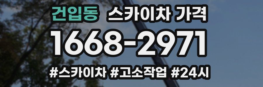 건입동 스카이차 가격