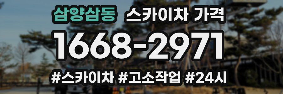 삼양삼동 스카이차 가격