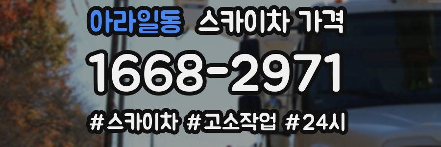 아라일동 스카이차 가격