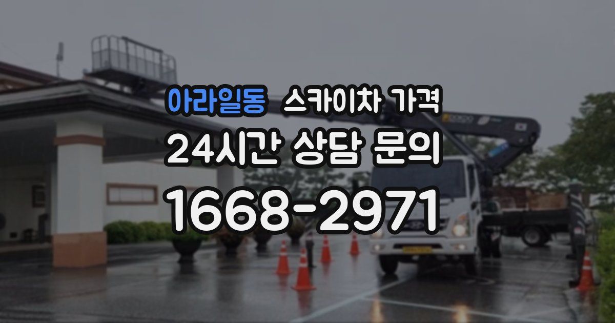 아라일동 스카이차 가격