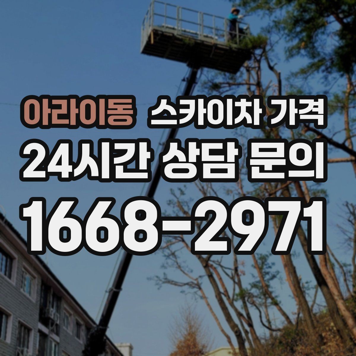 아라이동 스카이차 가격 한 지점 작업과 여러 지점 작업의 차이