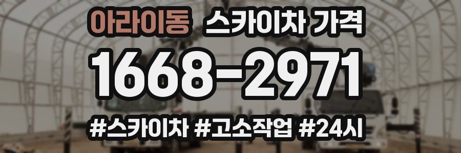 아라이동 스카이차 가격