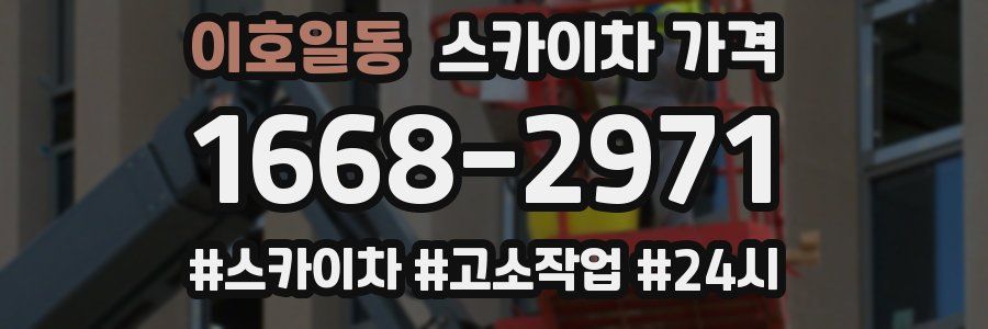 이호일동 스카이차 가격