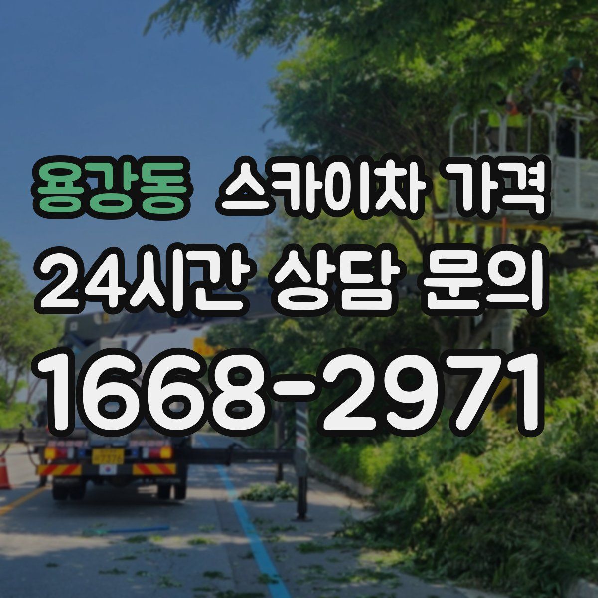 용강동 스카이차 가격