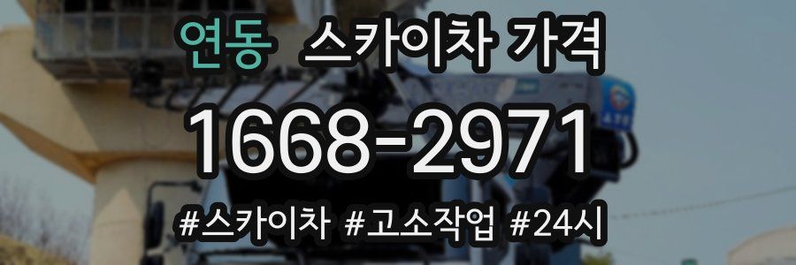 연동 스카이차 가격