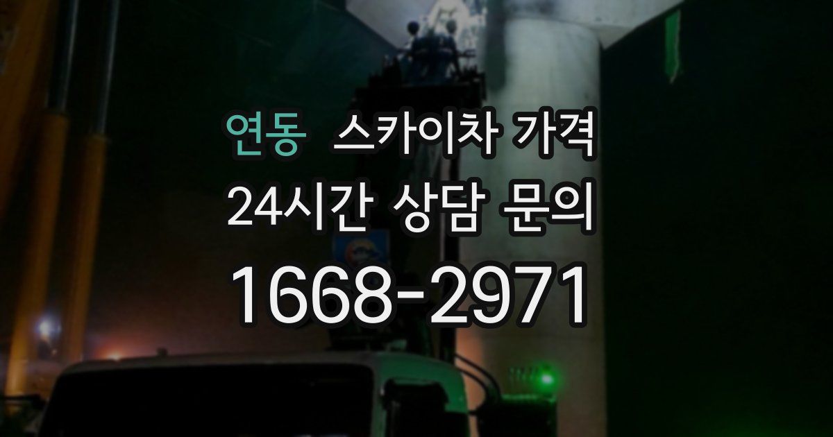 연동 스카이차 가격