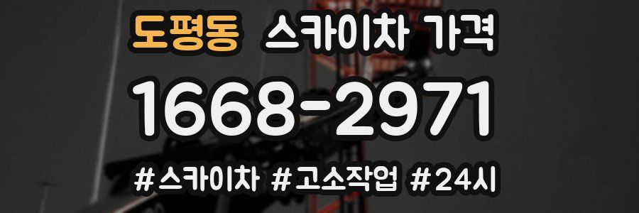 도평동 스카이차 가격