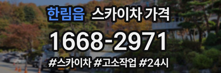 한림읍 스카이차 가격