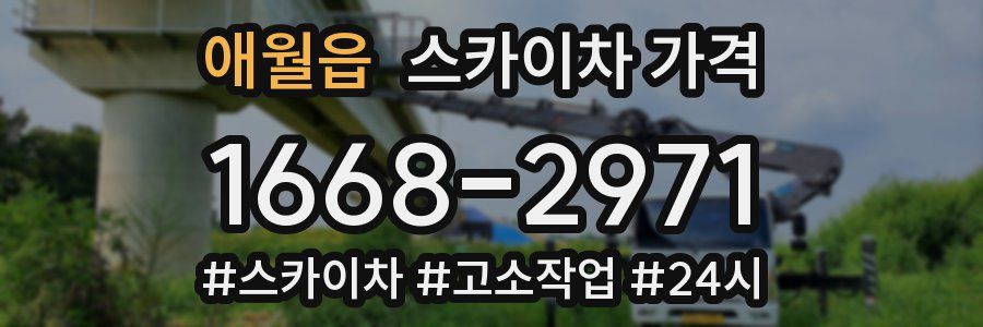 애월읍 스카이차 가격