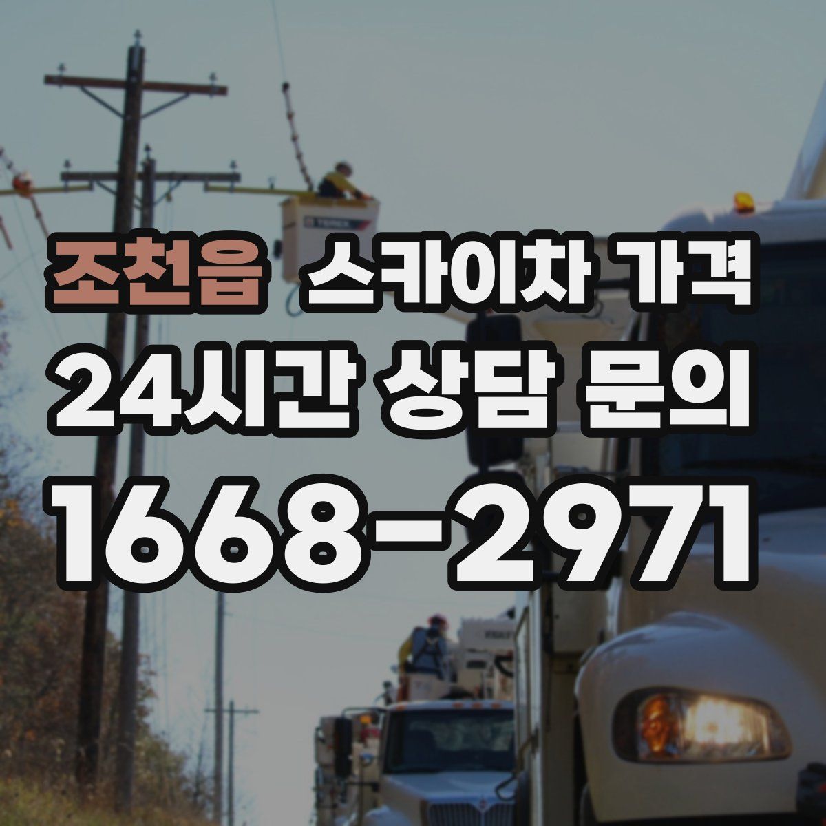 조천읍 스카이차 가격