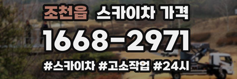 조천읍 스카이차 가격