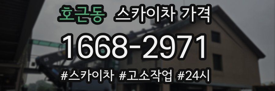 호근동 스카이차 가격