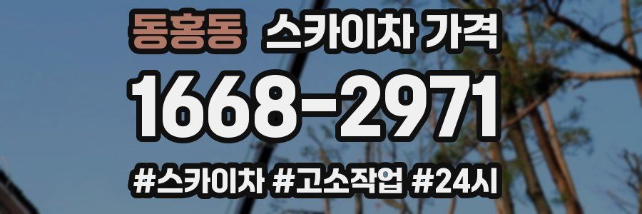동홍동 스카이차 가격