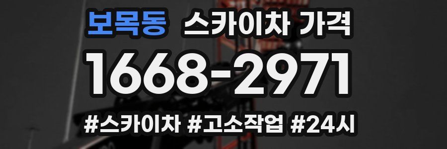 보목동 스카이차 가격