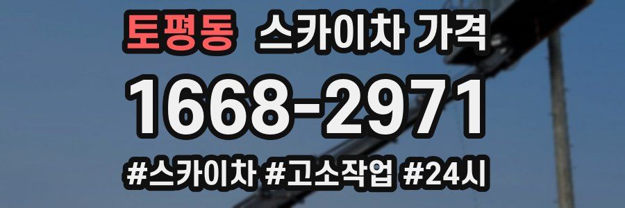 토평동 스카이차 가격