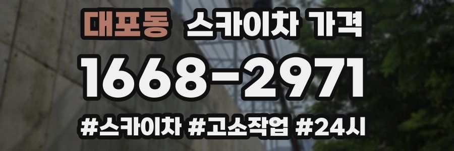 대포동 스카이차 가격