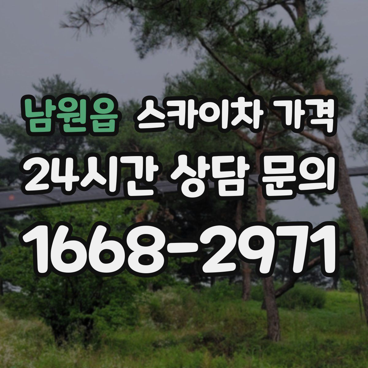 남원읍 스카이차 가격