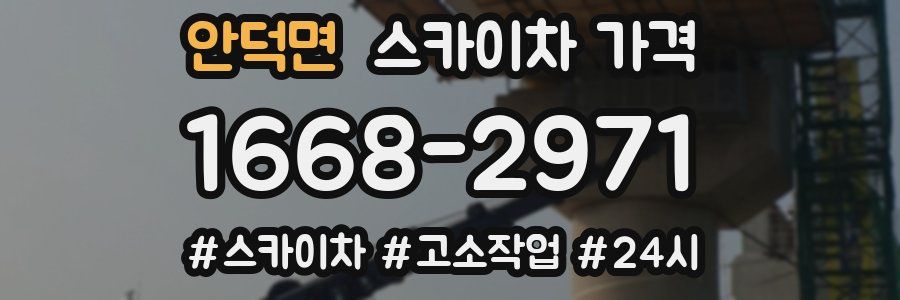 안덕면 스카이차 가격